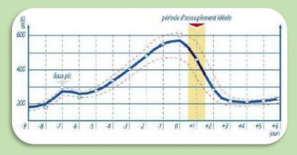 Draminski Ovulation Detector Chart